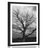 AFFICHE – ARBRE MAGNIFIQUE DANS LA PRAIRIE EN NOIR ET BLANC - NOIR ET BLANC - AFFICHES