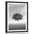 AFFICHE – ARBRE SOLITAIRE DANS UNE PRAIRIE EN NOIR ET BLANC - NOIR ET BLANC - AFFICHES