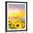 AFFICHE – CHAMP DE TOURNESOLS - FLEURS - AFFICHES