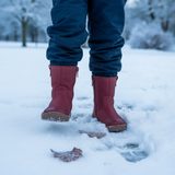 Lányok téli mezítlábas csizma ZERU TEX BOOT Bordeaux, Froddo, G3160242-4, piros