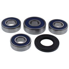 WHEEL BEARING KIT ALL BALLS RACING WB25-1771 ZADAJ
