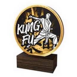 Dřevěná plaketa TFRW607 | Bojová umění