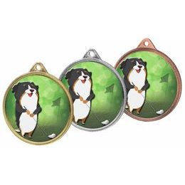 Kovová medaile MDLGOLFM05 | Golf