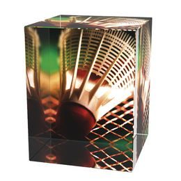 Glastrophäe CR3065M10 | Badminton