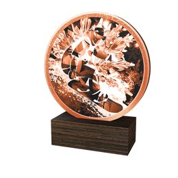 Dřevěná plaketa TFRW760 | Snowboard