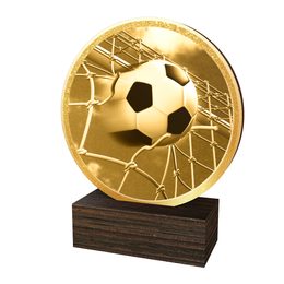Dřevěná plaketa TFRW809 | Fotbal
