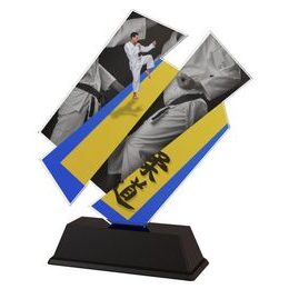 Akrylátová trofej ACZC001M32 | Bojová umění