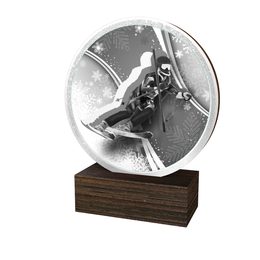 Dřevěná plaketa TFRW783 | Sjezdové lyžování