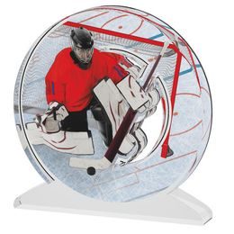 Akrylátová trofej ACTW0200M10 | Hokej