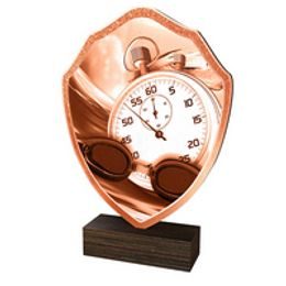 Dřevěná plaketa TFRW040 | Plavání