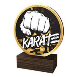 Dřevěná plaketa TFRW599 | Bojová umění