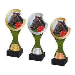 Akrylátová trofej ACBTM30 | Jezdectví