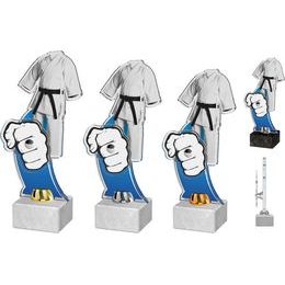 Akrylátová trofej ACTD0051M2 | Bojová umění