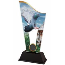 Acryltrophäe CASM13 | Zucht