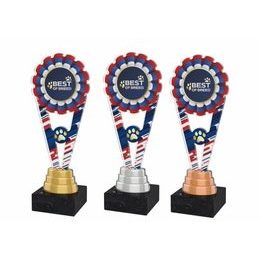 Akrylátová trofej ACUTM77 | Kynologie