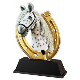 Acryltrophäe FA200M41 | Hobbyhorsing