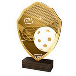 Dřevěná plaketa TFRW123 | Florbal