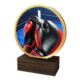 Dřevěná plaketa TFRW610 | Bojová umění