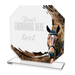 Glastrophäe CR2024302M37 | Reitsport