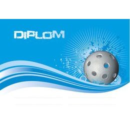 Diplom DP0015 | Florbal