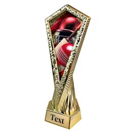 Sportovní trofej AY1M10 | Cricket