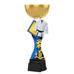 Akrylátová trofej ACUPCGMINIM40 | Bojová umění