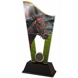 Acryltrophäe CASM16 | Reitsport