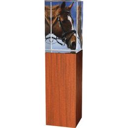 Glastrophäe -Holz-Glas kombination CR4021M16 | Reitsport