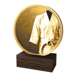 Dřevěná plaketa TFRW583 | Bojová umění