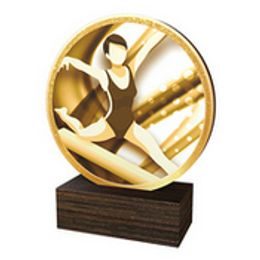 Dřevěná plaketa TFRW739 | Gymnastika