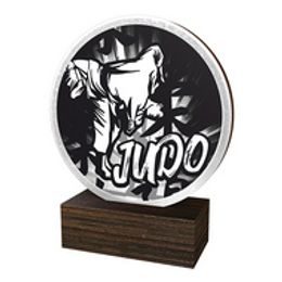 Dřevěná plaketa TFRW592 | Bojová umění