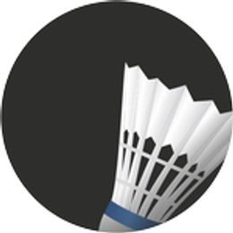 Emblém ES29 | Badminton