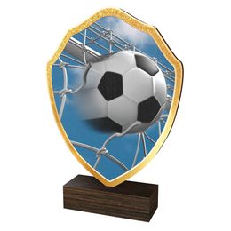 Dřevěná plaketa TFRW308 | Fotbal