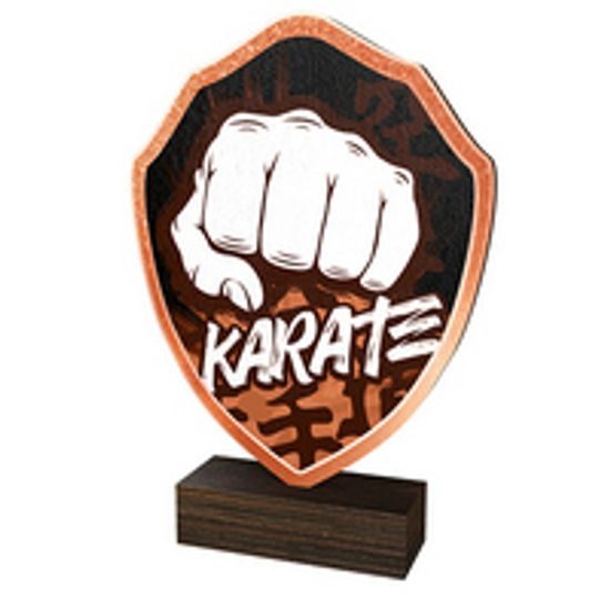 Dřevěná plaketa TFRW161 | Bojová umění