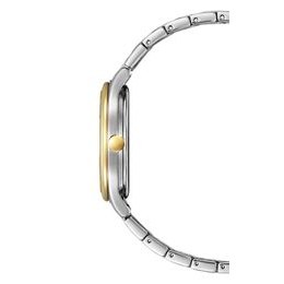 Hodinky Citizen CLASSIC EM0506-77A