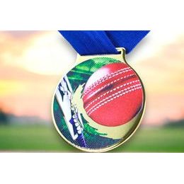 Sacul Cricket Color Texture 3D Print Medal