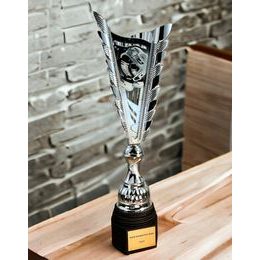 Chester Ice Hockey Silver Trophy