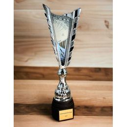 Chester Playing Cards Silver Trophy