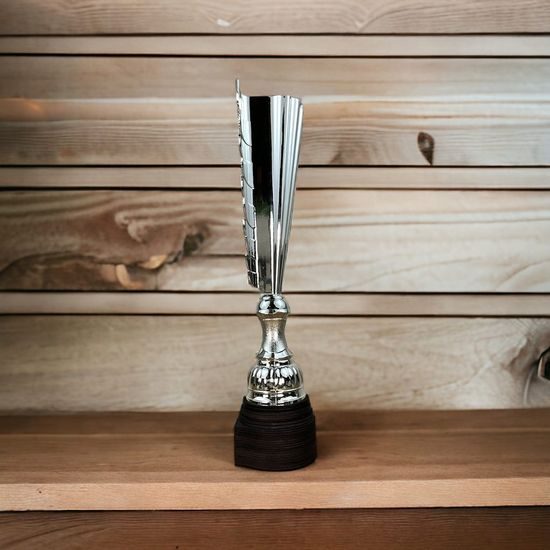 Chester Chess Silver Trophy