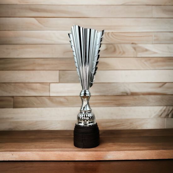 Chester Chess Silver Trophy