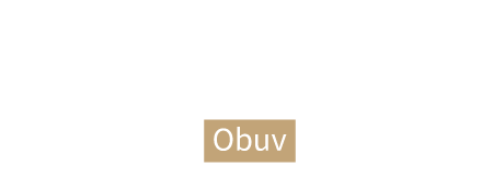 ShopRoku 2016 - vítěz
