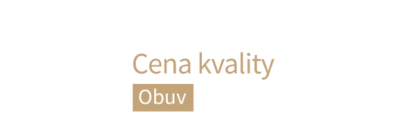 ShopRoku 2017 - vítěz